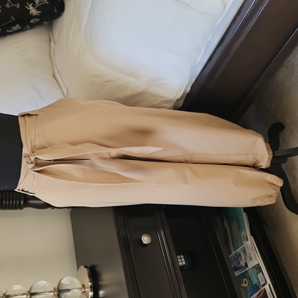 The Limited Khaki Pants with Belt